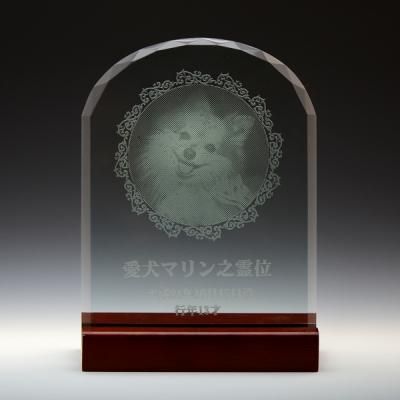 饹ƽB