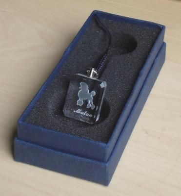 Keyholder & Strap B