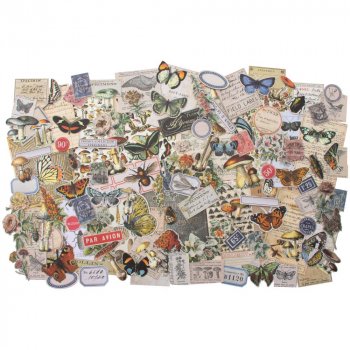 <img class='new_mark_img1' src='https://img.shop-pro.jp/img/new/icons57.gif' style='border:none;display:inline;margin:0px;padding:0px;width:auto;' />Tim Holtz Idea-Ology եѥå (Field Notes)