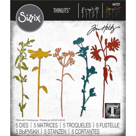 予約商品】 Sizzix Thinlits Dies By Tim Holtz 5ピース (Wildflower