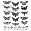 ͽʡ Tim Holtz 󥰥 7X8.5 (Moth Study)