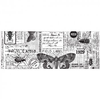 Tim Holtz Idea-Ology 顼ڡѡ 6