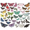 Simple Stories Bits & Pieces å 44ԡ (Butterfly, Color Palette)