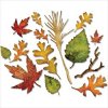 【予約商品】 Sizzix Thinlits Dies 14ピース By Tim Holtz (Fall Foliage) 