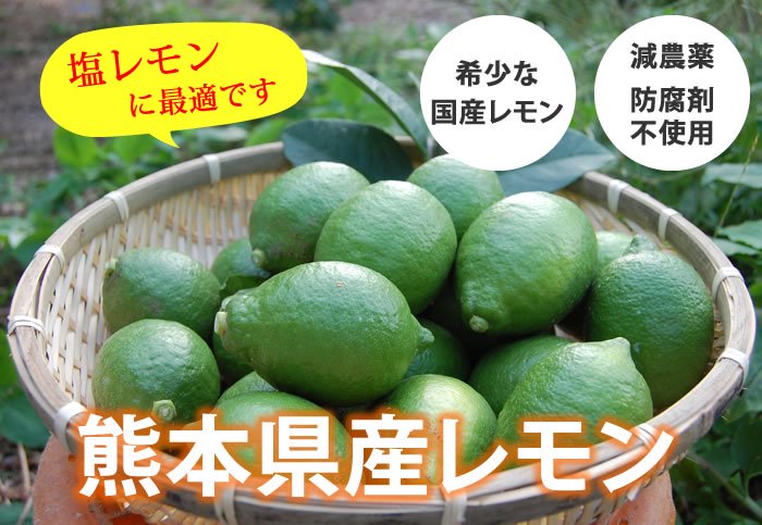 熊本県産レモン