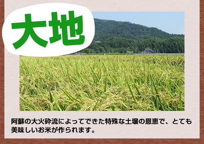 特殊な土壌の恩恵で美味しいお米が作られます。