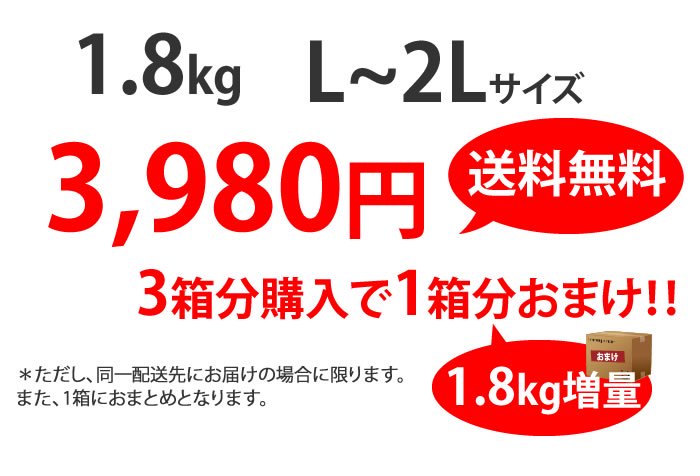 0円 数量限定 最高級生栗 利平栗 熊本県産 2Lサイズ10kg入り化粧箱