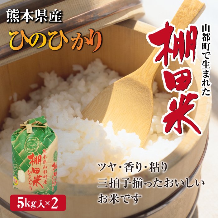 美味しいお米できました！!TAKEの棚田米厳選大粒20キロ 新米 - 米