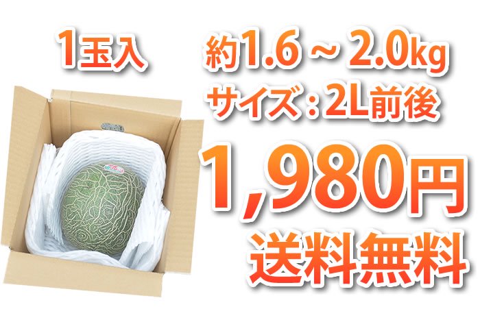 1玉1,980円