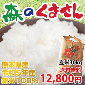 令和5年産新米》 熊本県産 森のくまさん 玄米30kg【送料無料】 | 熊本 