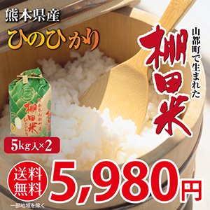 熊本県産　ひのひかり100%  5kg×2kg 10kg 送料無料　令和元年新米