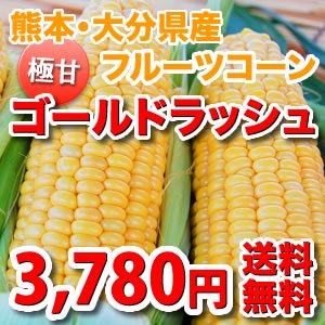 朝もぎ極甘フルーツコーン ゴールドラッシュ《送料無料》10~13本入り