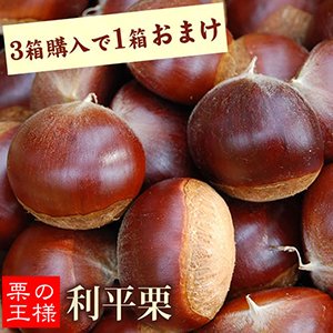 幻の高級和栗 利平栗 秀品 約1.8kg 【送料無料+3箱購入で1箱おまけ