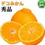 初物セール‼️極早生みかん　秀品＋家庭用込み　小粒っこ8kg 絶品の極早生 早生みかん 秀品8kg【送料無料！2箱購入でおまけ有