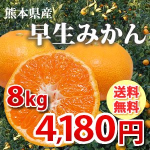 絶品の極早生 早生みかん 秀品8kg【送料無料！2箱購入でおまけ有