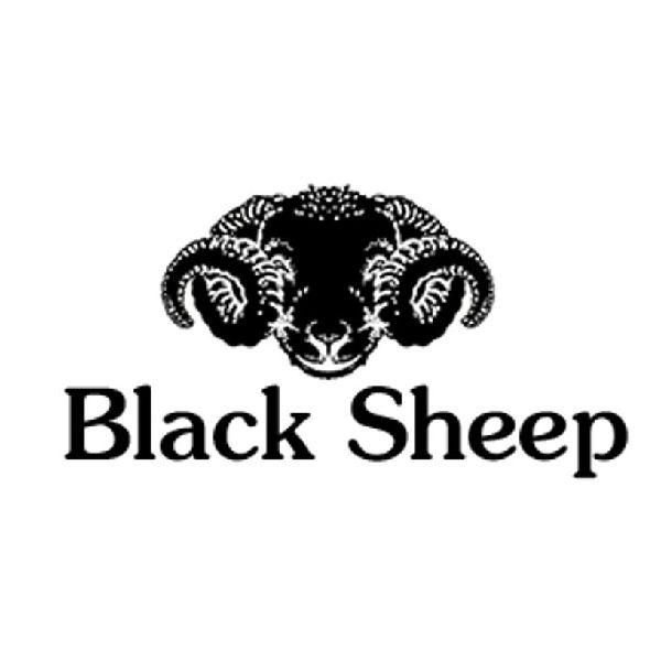 Black Sheep ( ブラックシープ ) ウール手袋 5COLOR / SIZE