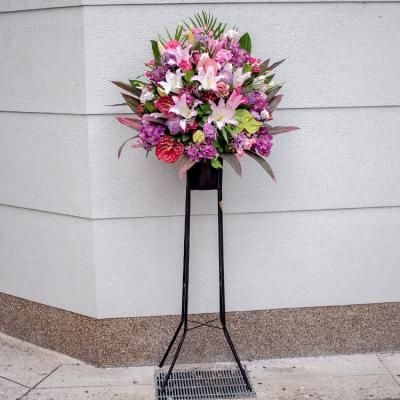 観葉植物 ベンジャミン フラワー バルーンショップ Blossom 神戸 三宮店 観葉植物 ベンジャミン フラワー バルーンショップ Blossom 神戸 三宮店