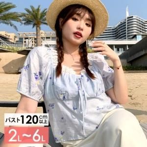 դäȲİǥƥ졼ξ֥饦<img class='new_mark_img2' src='https://img.shop-pro.jp/img/new/icons5.gif' style='border:none;display:inline;margin:0px;padding:0px;width:auto;' />