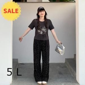 <img class='new_mark_img1' src='https://img.shop-pro.jp/img/new/icons20.gif' style='border:none;display:inline;margin:0px;padding:0px;width:auto;' />ʬƩСͭ͵ΥɥåΥ奢ѥġڽղơۡ