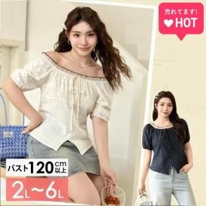 ɥåΥեȤƤ夳ʤȥåץ<img class='new_mark_img2' src='https://img.shop-pro.jp/img/new/icons5.gif' style='border:none;display:inline;margin:0px;padding:0px;width:auto;' />