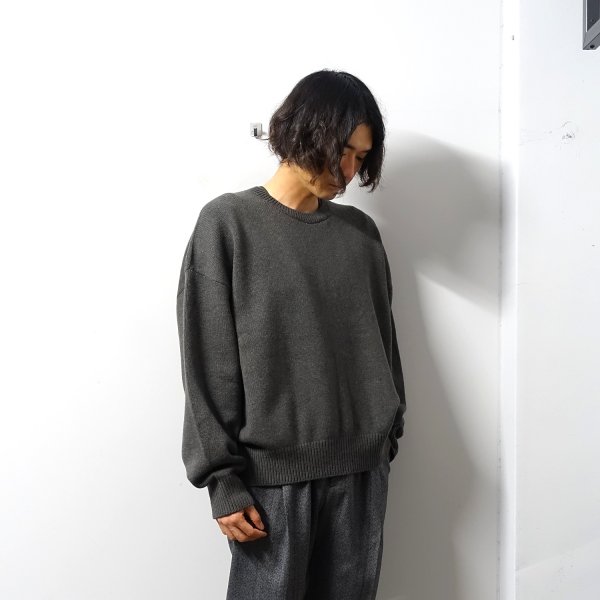 <img class='new_mark_img1' src='https://img.shop-pro.jp/img/new/icons13.gif' style='border:none;display:inline;margin:0px;padding:0px;width:auto;' />stein(奿)/EX FINE LAMBS CREW NECK KNIT LS/Shadow