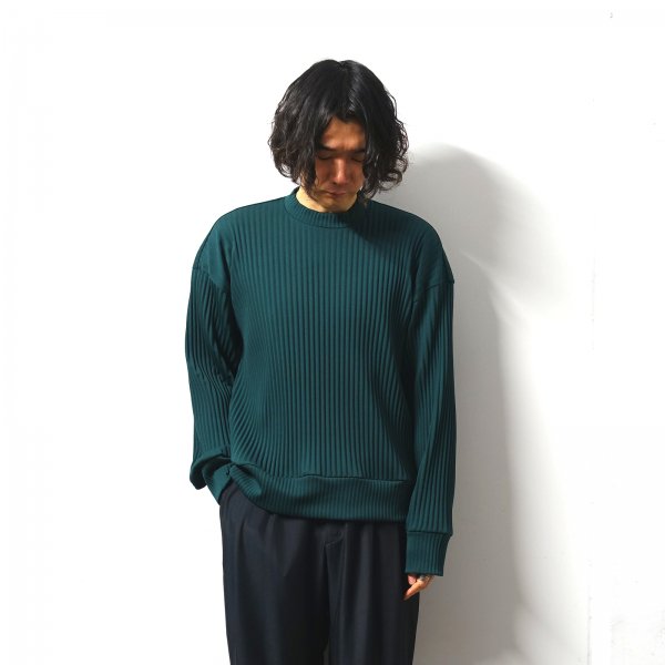 <img class='new_mark_img1' src='https://img.shop-pro.jp/img/new/icons13.gif' style='border:none;display:inline;margin:0px;padding:0px;width:auto;' />stein(奿)/PLEATED KNIT CREW NECK LS/Green