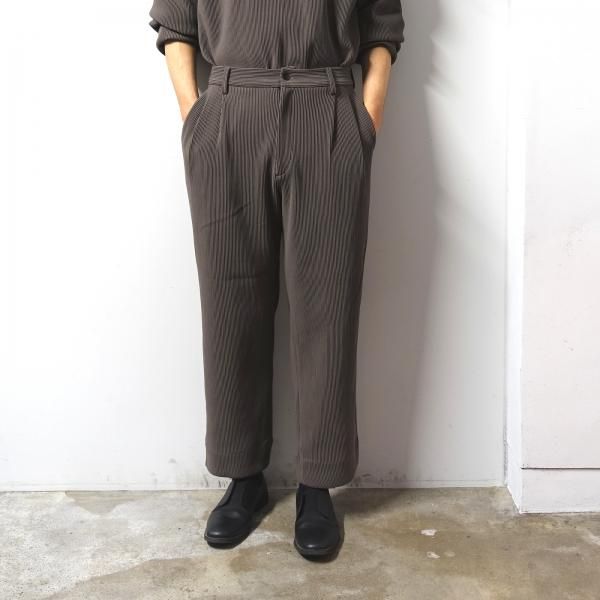 stein GRADATION PLEATS TWO TUCK TROUSERS