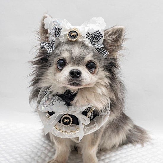 Picone【新品】犬服/黒/チュールドレス&ヘッドアクセサリー 春夏 犬服 ドッグウェア ペット服 小型犬用服 黒のウェディング