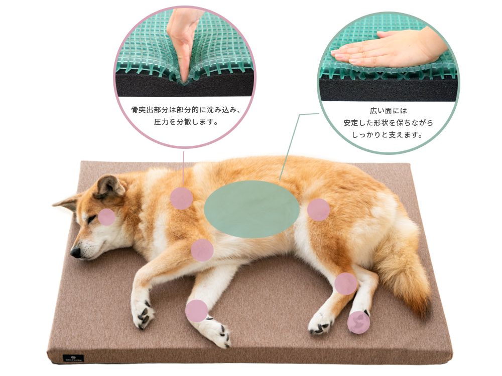ジェルトロン ドッグケアマットレス 犬猫用介護ベッド 犬猫用介護マット 褥瘡予 ジェルトロン Dog ケアマットレス|ジェルトロン公式オンライン