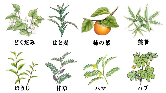 八種の野草健康茶