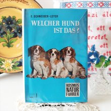 ドイツ 犬の本 WELCHE HUND IST DAS?