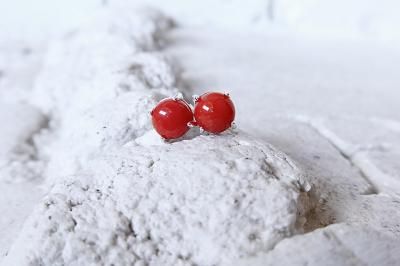 <img class='new_mark_img1' src='https://img.shop-pro.jp/img/new/icons14.gif' style='border:none;display:inline;margin:0px;padding:0px;width:auto;' />ǥ˥㻺ܻ6ߥꥹåԥ̿Ϥ򹯤Ĺħ»θ̤Ȥ