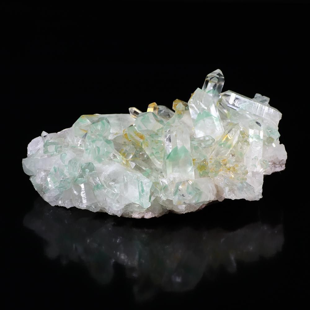 希少性抜群】【入手超困難】マダガスカル産 ゴールデンヒーラー