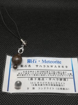☆コンドライト・・石質隕石・・・サハラNWA869（隕石）原石 - 開運