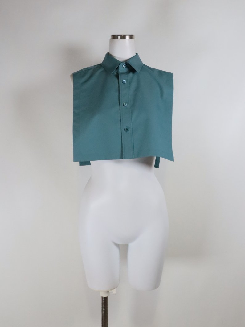 <img class='new_mark_img1' src='https://img.shop-pro.jp/img/new/icons14.gif' style='border:none;display:inline;margin:0px;padding:0px;width:auto;' />T/C REGULAR COLLAR CROPPED TOP