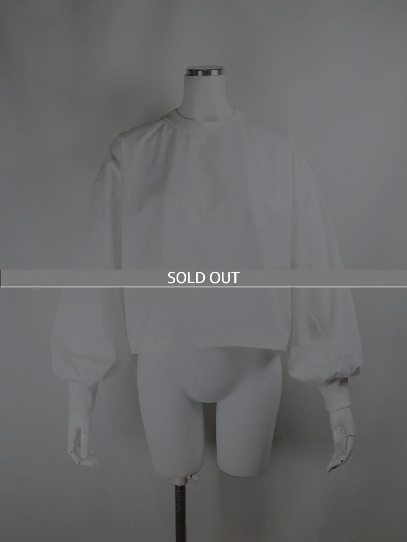 <img class='new_mark_img1' src='https://img.shop-pro.jp/img/new/icons14.gif' style='border:none;display:inline;margin:0px;padding:0px;width:auto;' />CROPPED LONG SLV TEE / BIG FIT(6.5OZ)