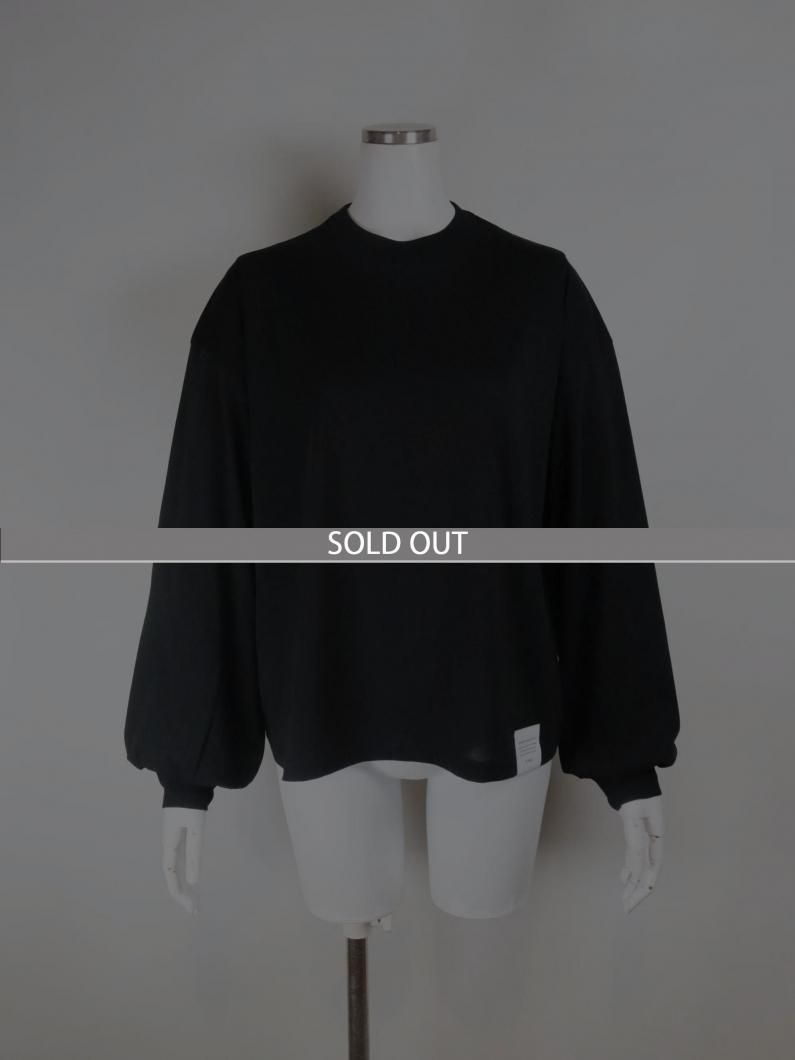 <img class='new_mark_img1' src='https://img.shop-pro.jp/img/new/icons47.gif' style='border:none;display:inline;margin:0px;padding:0px;width:auto;' />SHEER LONG SLV TEE