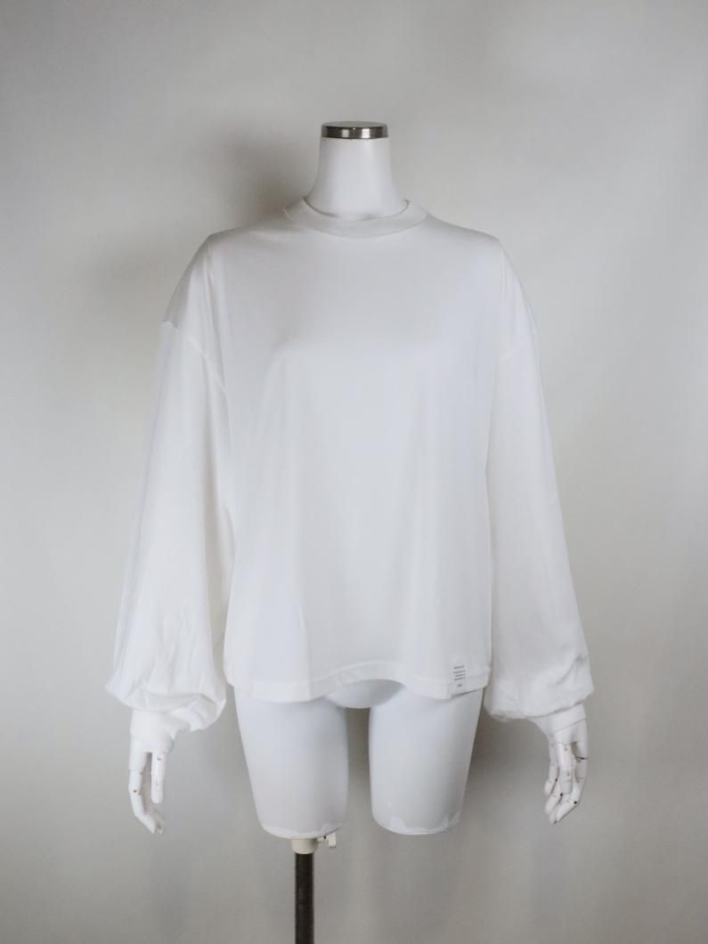 <img class='new_mark_img1' src='https://img.shop-pro.jp/img/new/icons14.gif' style='border:none;display:inline;margin:0px;padding:0px;width:auto;' />SHEER LONG SLV TEE