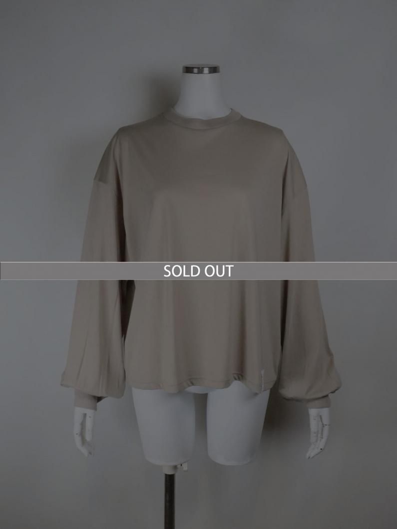 <img class='new_mark_img1' src='https://img.shop-pro.jp/img/new/icons47.gif' style='border:none;display:inline;margin:0px;padding:0px;width:auto;' />SHEER LONG SLV TEE