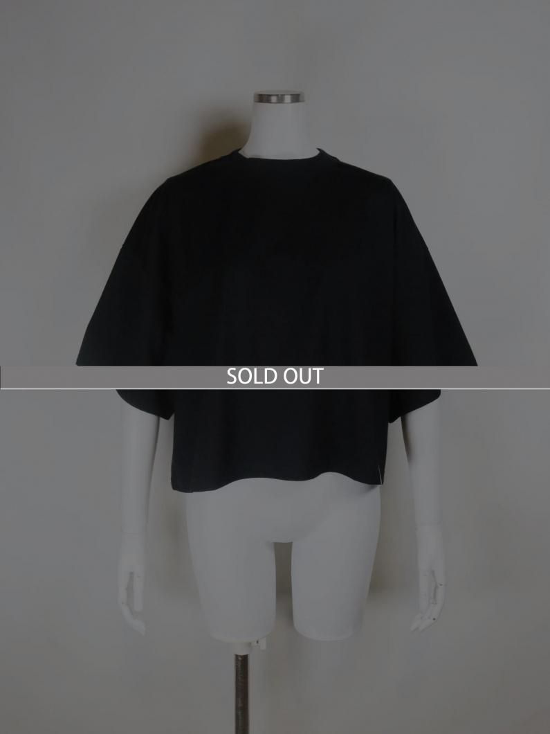 <img class='new_mark_img1' src='https://img.shop-pro.jp/img/new/icons47.gif' style='border:none;display:inline;margin:0px;padding:0px;width:auto;' />CROPPED SHORT-SLV TEE (6.5oz)