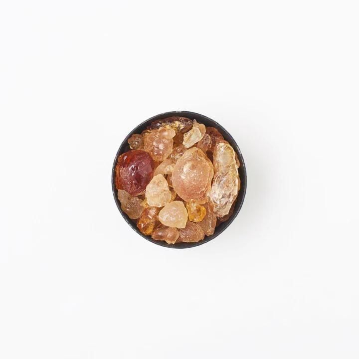 MAD et LEN(マドエレン)通販 -six Online Shop