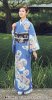 ジャパンスタイル（Ｊapan Style)仕立て上がり洗える着物 訪問着　kimonoJL-46