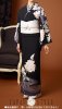 ジャパンスタイル（Ｊapan Style)仕立て上がり洗える着物 訪問着　kimonoJL-6