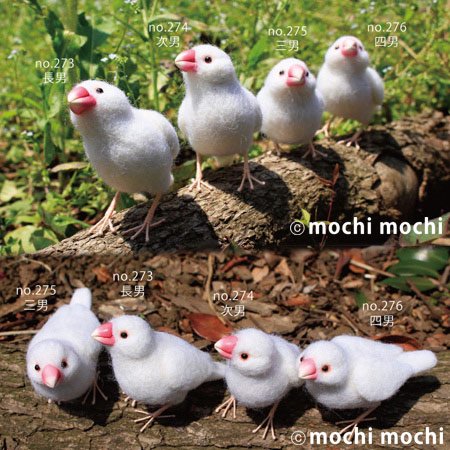 mochimochiʸĻ
