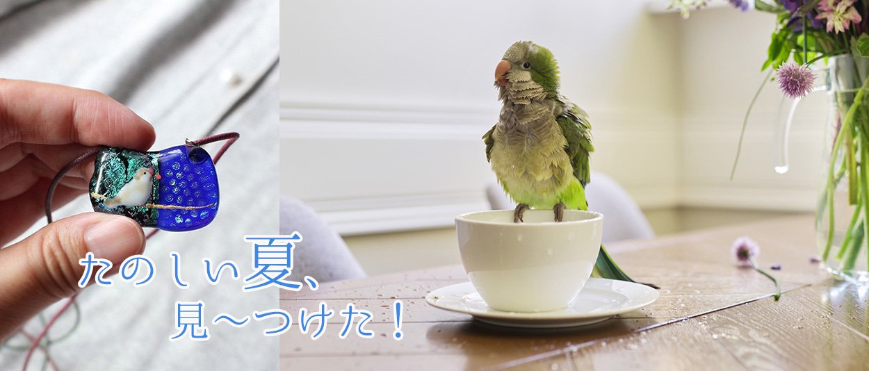 季節の鳥グッズ通販 - 小鳥モチーフの雑貨とアクセサリー【文鳥ロード