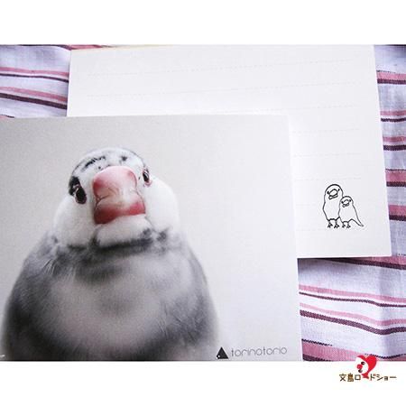 Torinotorio文鳥メモ帳 文鳥ロードショー 全部小鳥 小鳥雑貨とアクセサリー100 の通販セレクトショップ Torinotorio文鳥メモ帳 文鳥ロードショー 全部小鳥 小鳥雑貨とアクセサリー100 の通販セレクトショップ