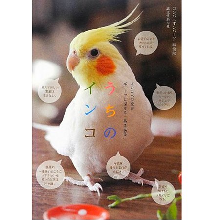 うちのインコ・コンパニオンバード編集部著・インコ飼育本なら - 文鳥