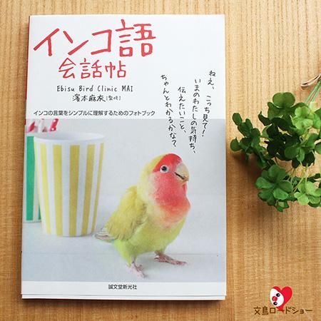 インコ語会話帖 フォトブック濱本 麻衣著 インコ写真集なら 文鳥ロードショー 全部小鳥 小鳥雑貨とアクセサリー100 の通販セレクトショップ