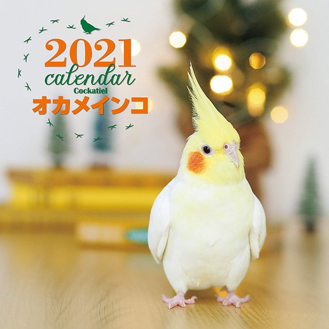 生産終了】2021年 大判カレンダー オカメ / オカメインコの壁掛け