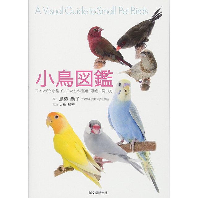 ラス2!】「小鳥図鑑 / フィンチと小型インコ」 / 島森 尚子著 / 大橋 和宏写真 / 誠文堂新光社【お取り扱い終了・在庫限り】 -  小鳥モチーフの雑貨とアクセサリー【文鳥ロードショー】ブンチョウ・インコ・鳥グッズ通販